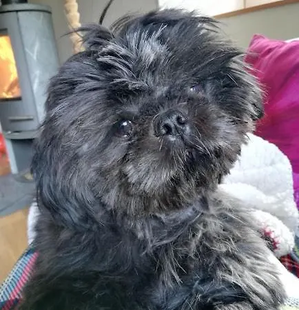 Les Arts Verts Panzió Kruth