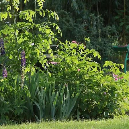 Panzió Les Arts Verts Kruth