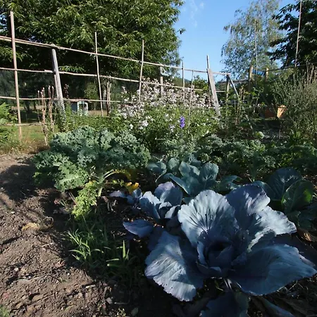 Les Arts Verts Kruth