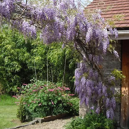 Les Arts Verts Panzió 3*