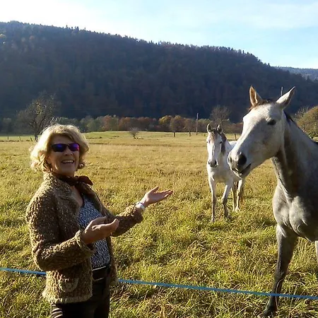 Panzió Les Arts Verts Kruth