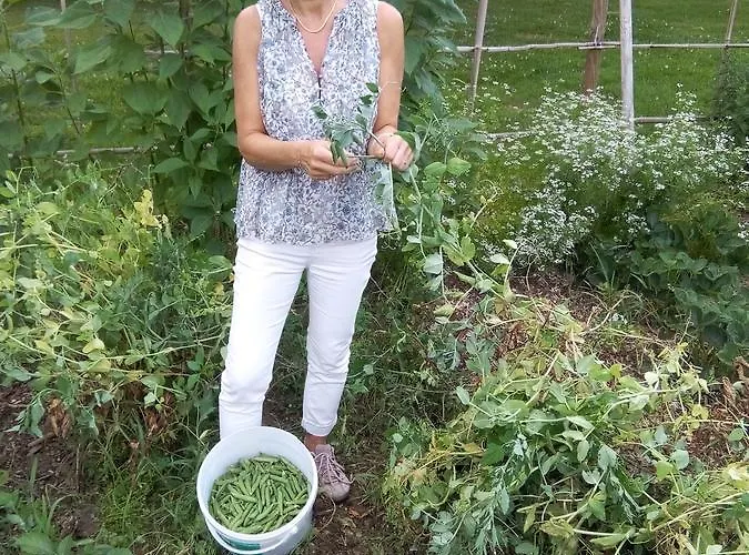 Les Arts Verts Bed & Breakfast Kruth